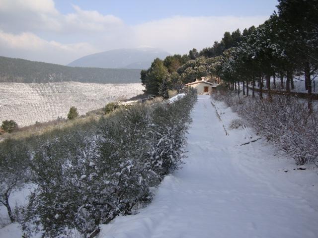 Agriturismo Istrice Innamorato Кампело сул Клитуно Екстериор снимка